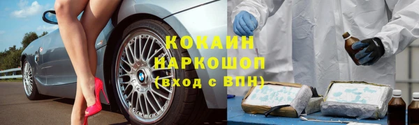 a pvp Белокуриха