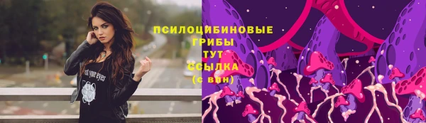 a pvp Белокуриха