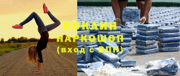 a pvp Белокуриха