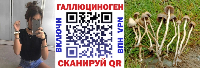 Псилоцибиновые грибы мухоморы  MEGA ТОР  Плёс  где купить  